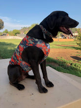 Load image into Gallery viewer, DOG-SOK™ (click pic for all 9 colors!!)