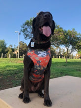 Load image into Gallery viewer, DOG-SOK™ (click pic for all 9 colors!!)